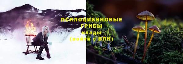 прущие грибы Остров