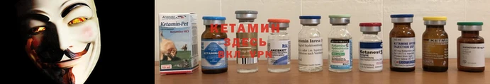 сатива Осинники