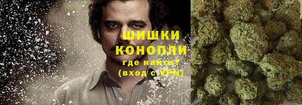 сатива Осинники