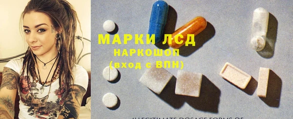 сатива Осинники
