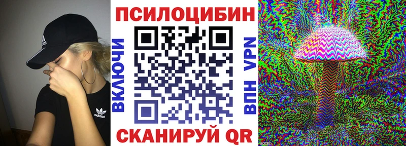 где купить наркотик  Ардон  Псилоцибиновые грибы прущие грибы 